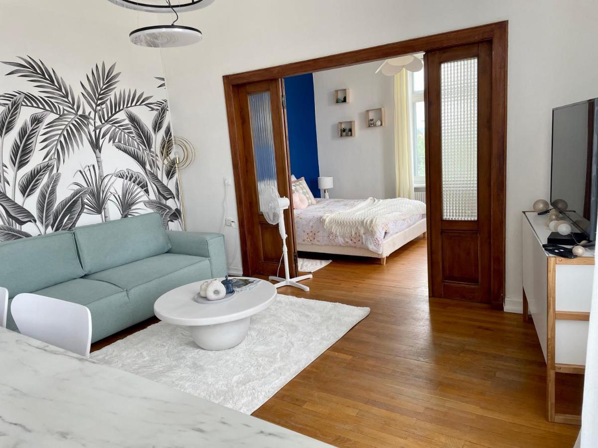 Appartamento Nid Urbain Colmarien - 4 Personnes - Garage Esterno foto